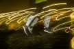 Futónadrág RUN+ - REFLECTIVE